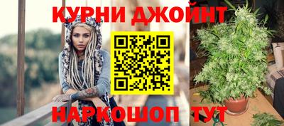трава Будённовск