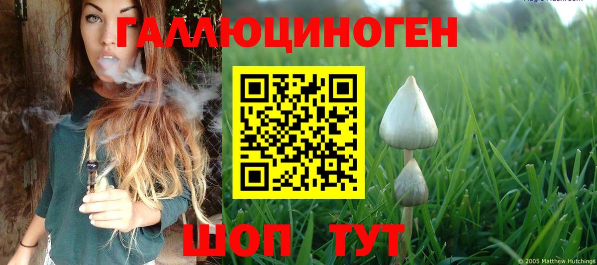 Мирный  Псилоцибиновые грибы мицелий  купить  цена  Вход с VPN  Псилоцибиновые грибы ЛСД 